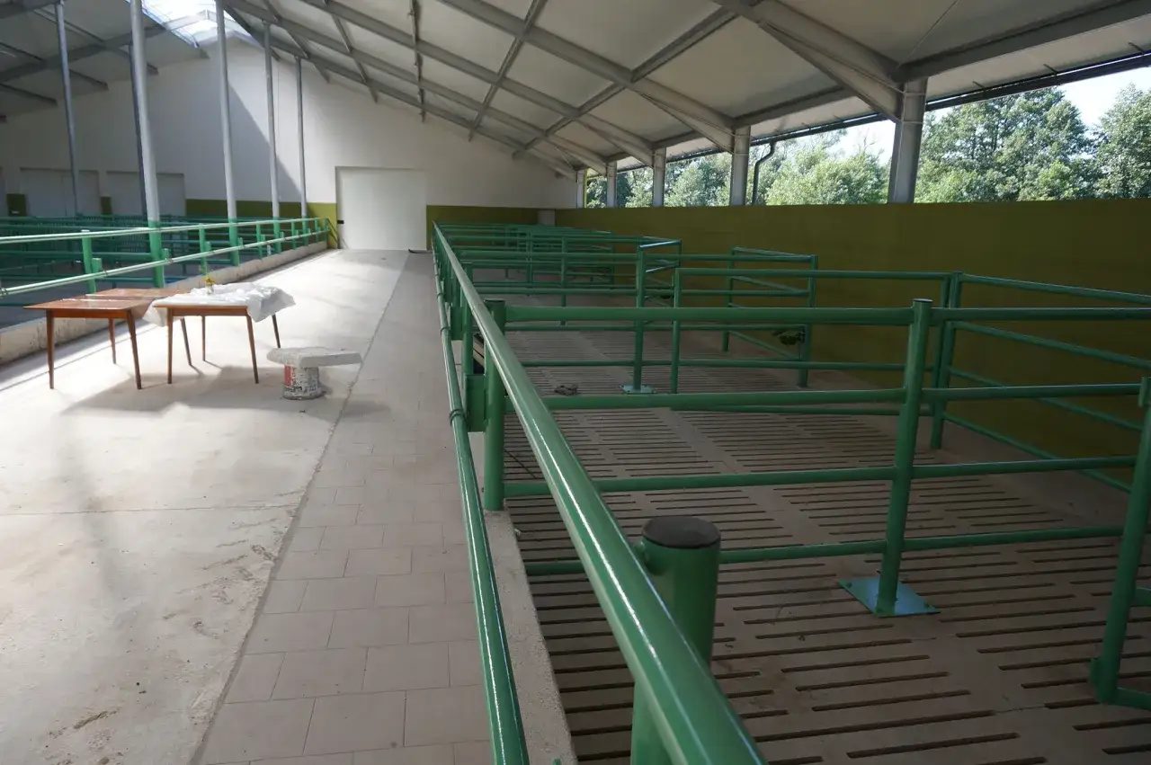 Zdjęcie Ile kosztuje budowa obory na 30 sztuk bydła? Sprawdź, co wpływa na ceny